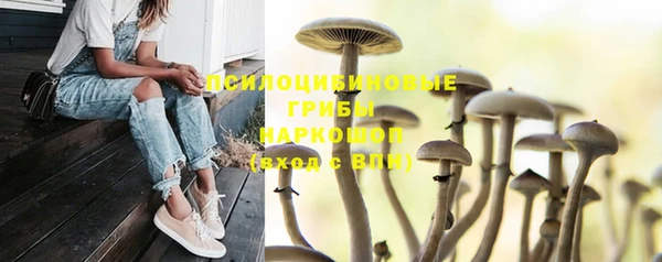 кокаин Вяземский
