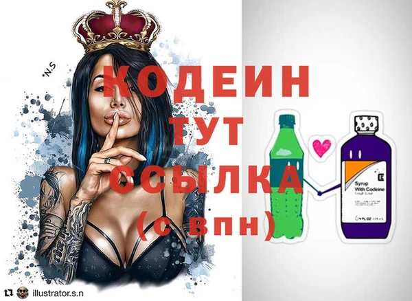 амф Верея