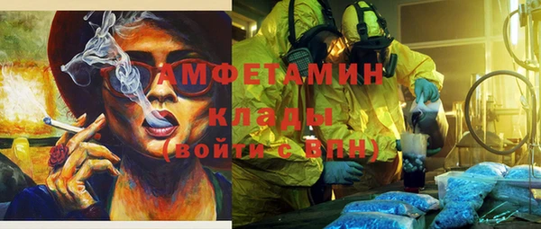 гидра Бронницы