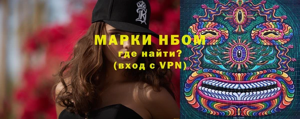 амф Верея