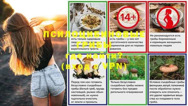 твердый Верхний Тагил
