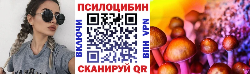 Псилоцибиновые грибы Psilocybe Ермолино